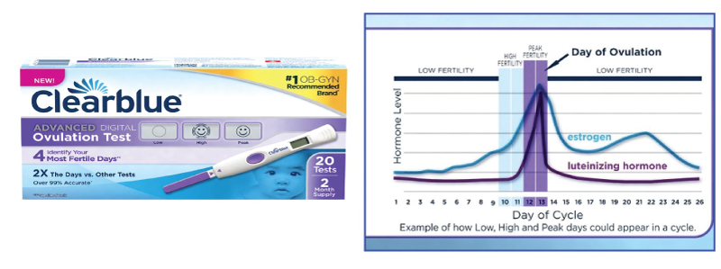 how-to-conceive-a-baby-boy-clearblue-digital-ovulation-test